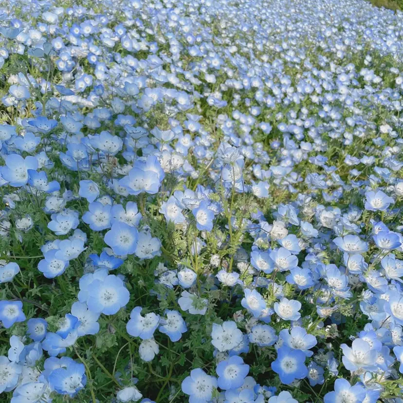 塚本 美咲/ ボブ・ヘッドスパの掲載