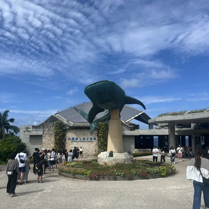 tulle【チュール 】✴︎RIHOの掲載