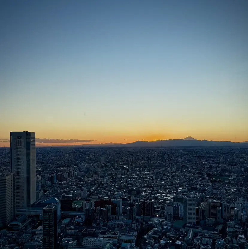 スガワラ マキの掲載