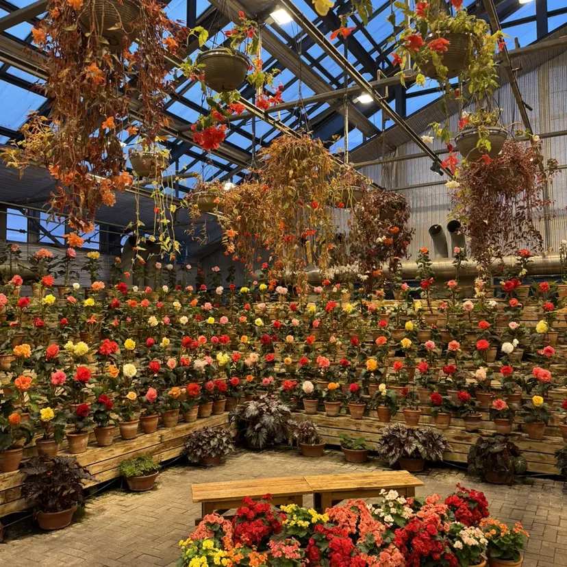 江川 愛依の掲載