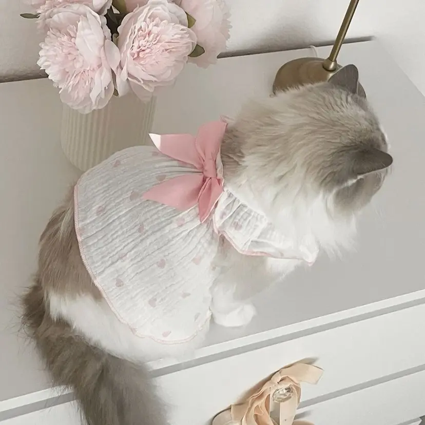 ParveMix┊ 太田 千尋🥨の掲載