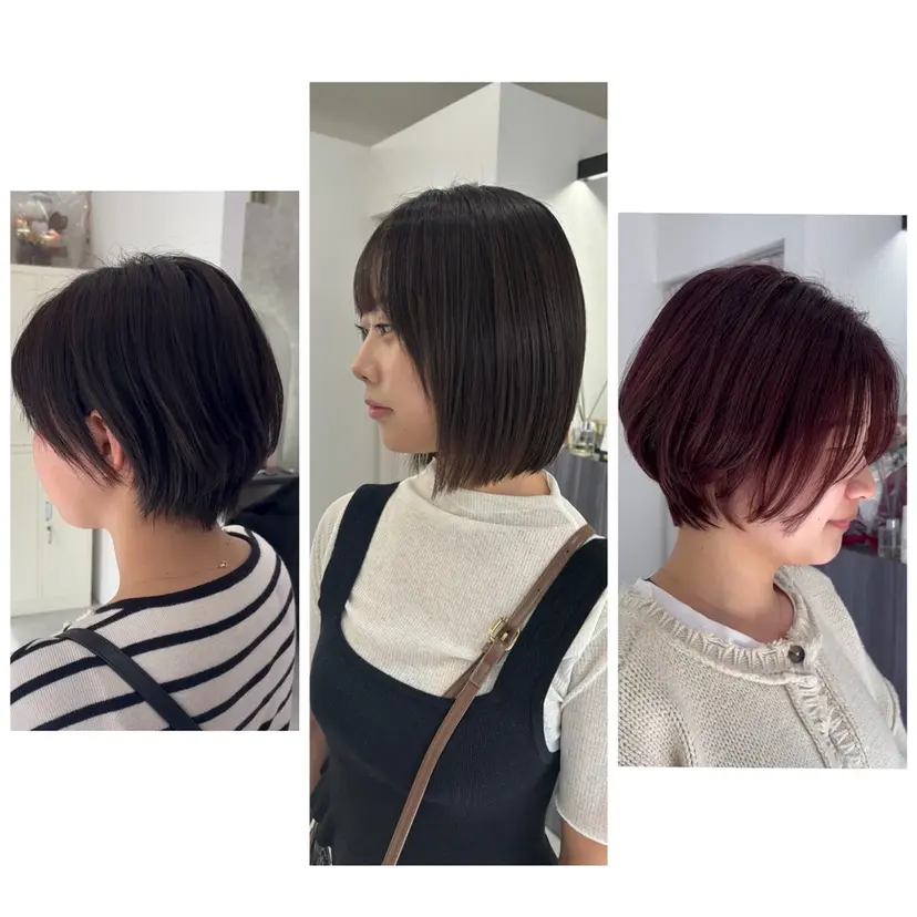 新村 華奈絵の掲載