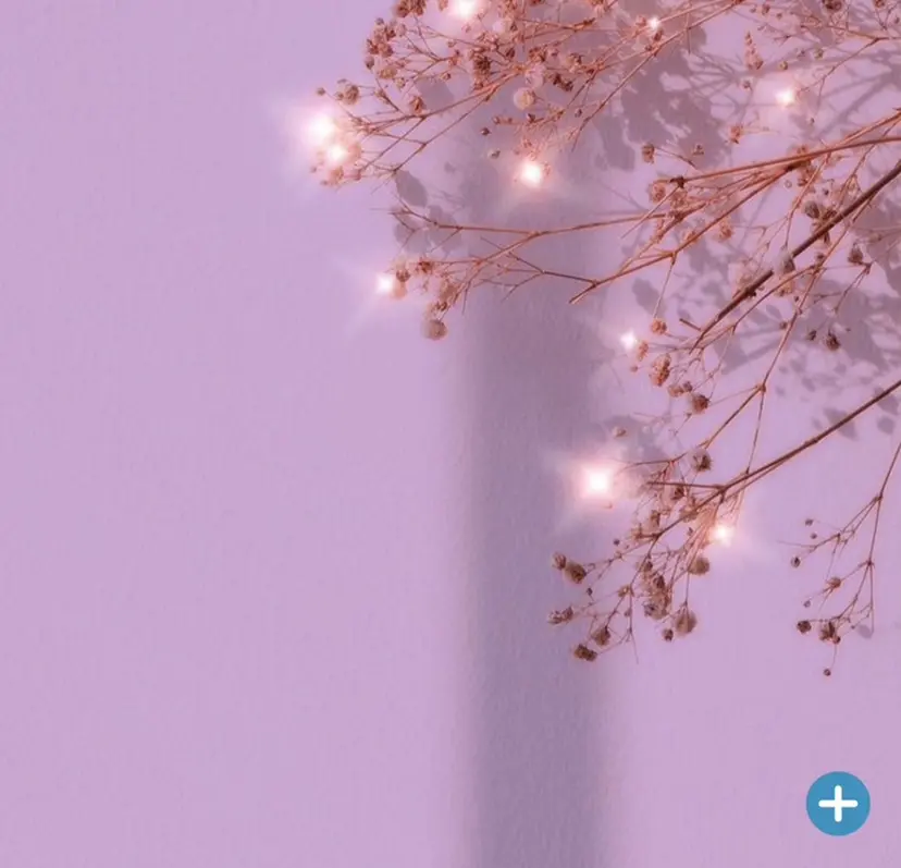 正楽 幸絵の掲載