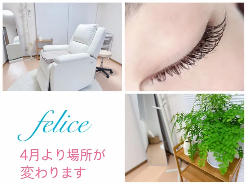 【felice】 Takahashiの掲載