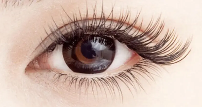 エムネイル サロンの掲載