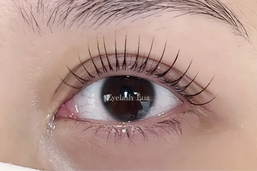 Eyelash Luaの掲載