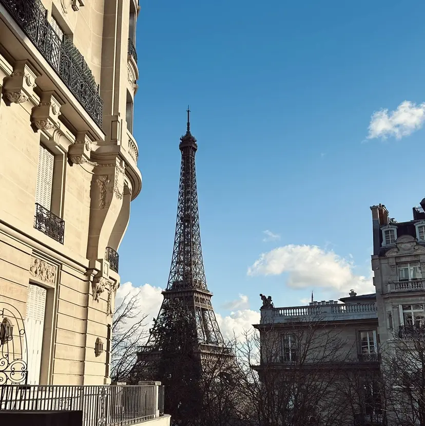 堀田 菜々子の掲載