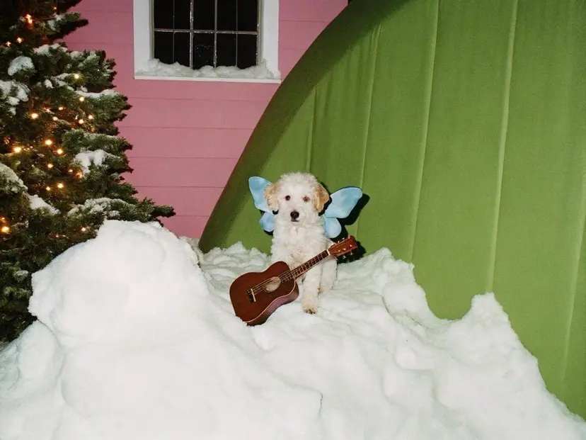 未 来カットモデル無料の掲載