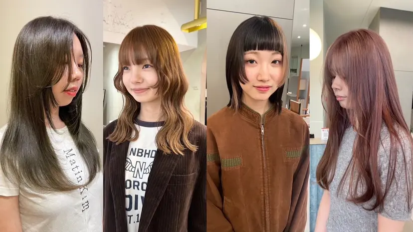 🍎カラー /カエデ🍎の掲載