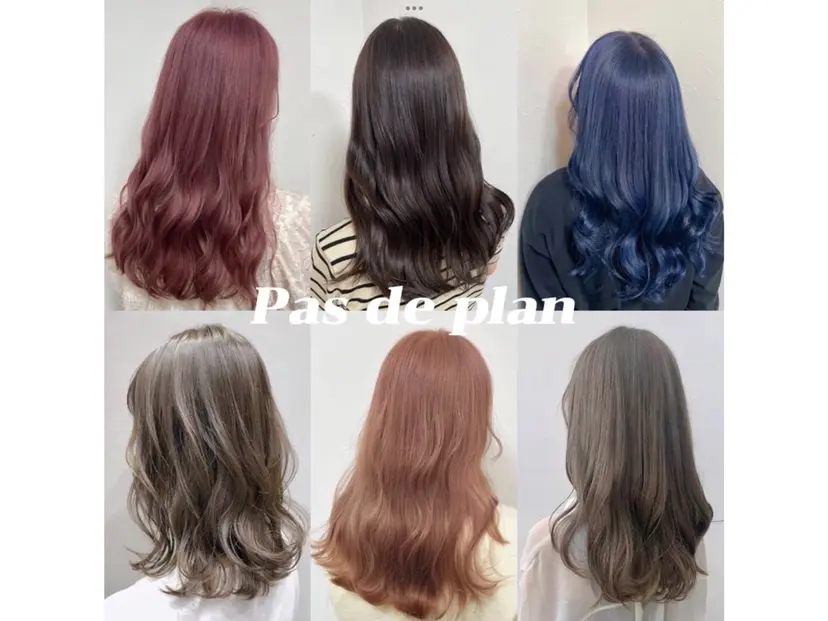 井上 大輝の掲載