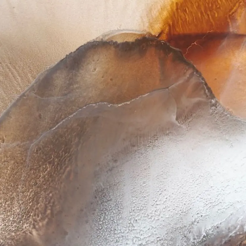 Lomalia もえかの掲載