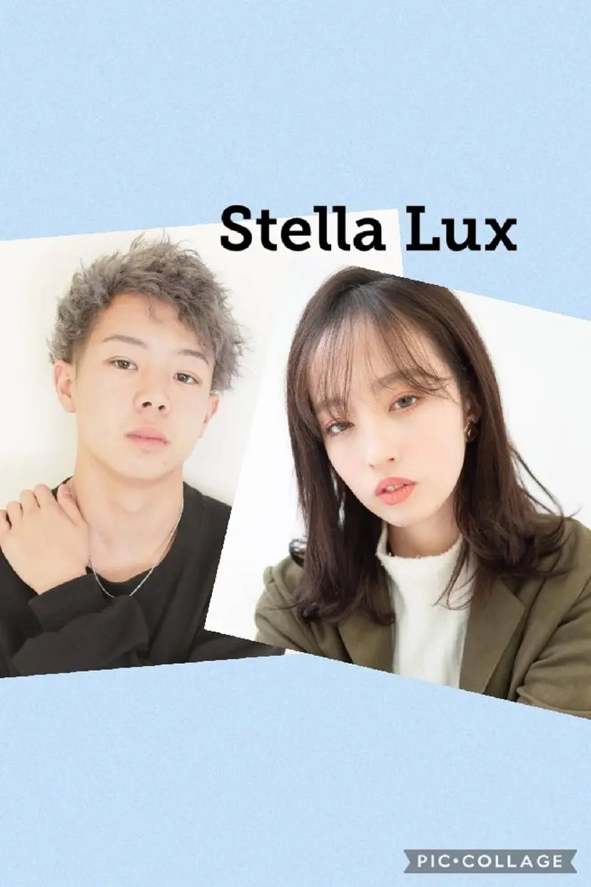 Stella Lux ステラ ルークスの掲載