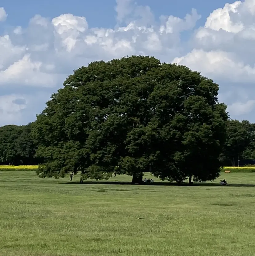 💈阿佐ヶ谷💈✂️ きちけいし✂️💈の掲載