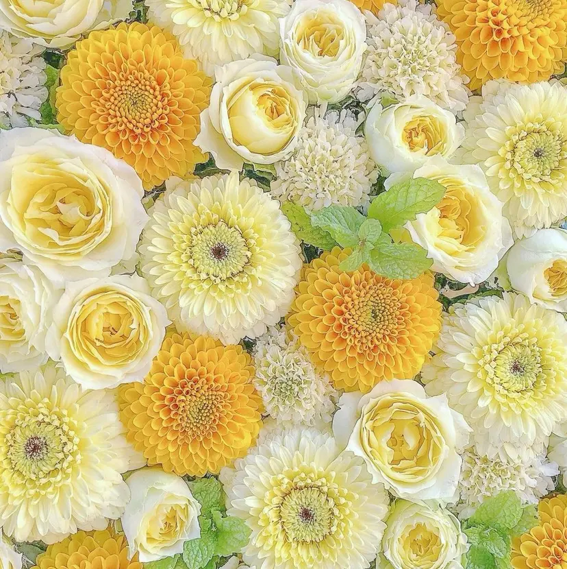 *まつかる *MAEHORI*の掲載