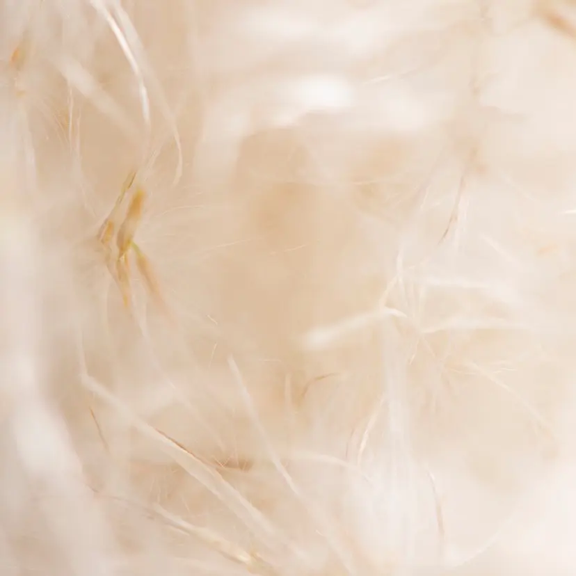 Chou2jip minoriの掲載