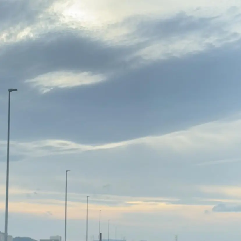 ミウラ サクラコの掲載