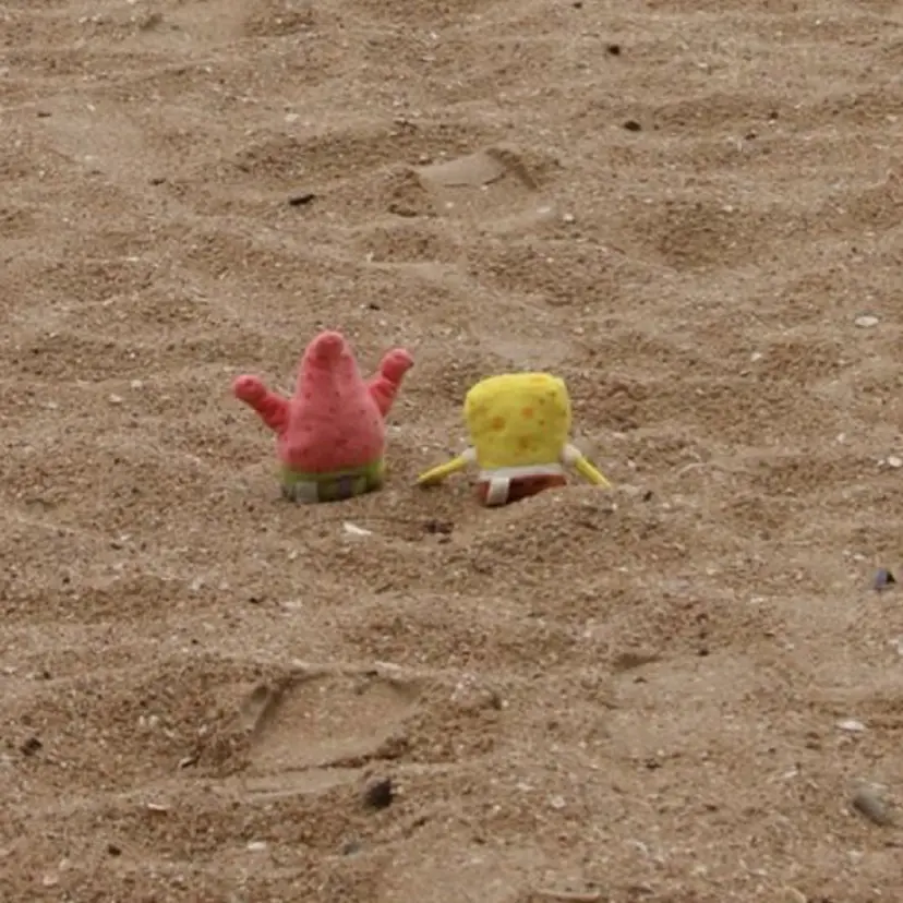 ｻﾂｷ /モデル様募集中の掲載