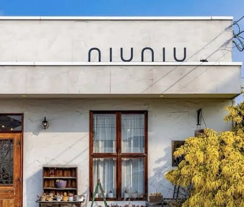 カラーモデル募集中 /わかなの掲載