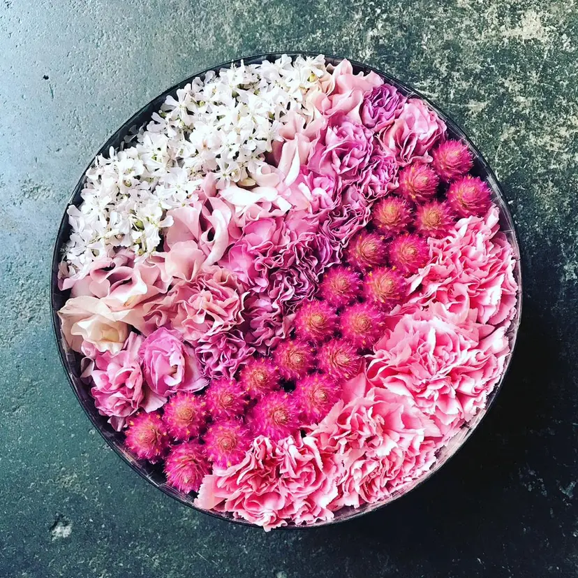 IMAI MEGUMIの掲載