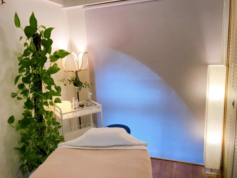 藤本 真希の掲載