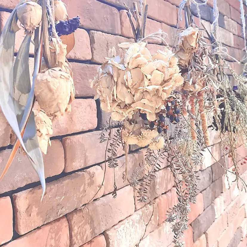 megu  / sōko nailの掲載