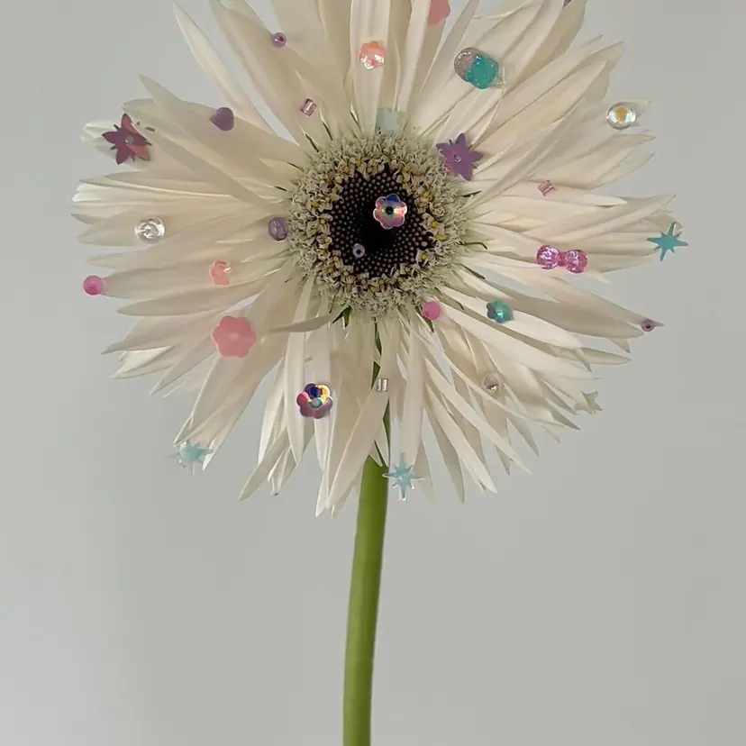 MUKU ひかるの掲載