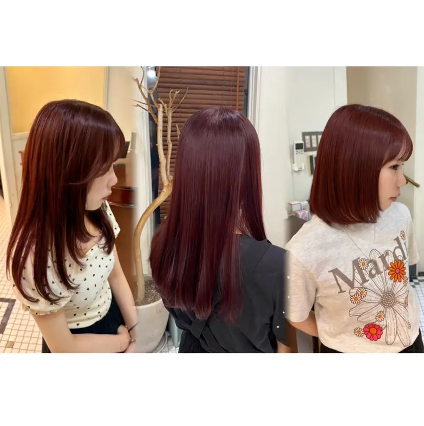 🍒hina/ 暖色カラー🍒の掲載