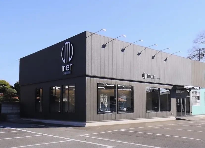 鈴木 杏奈の掲載