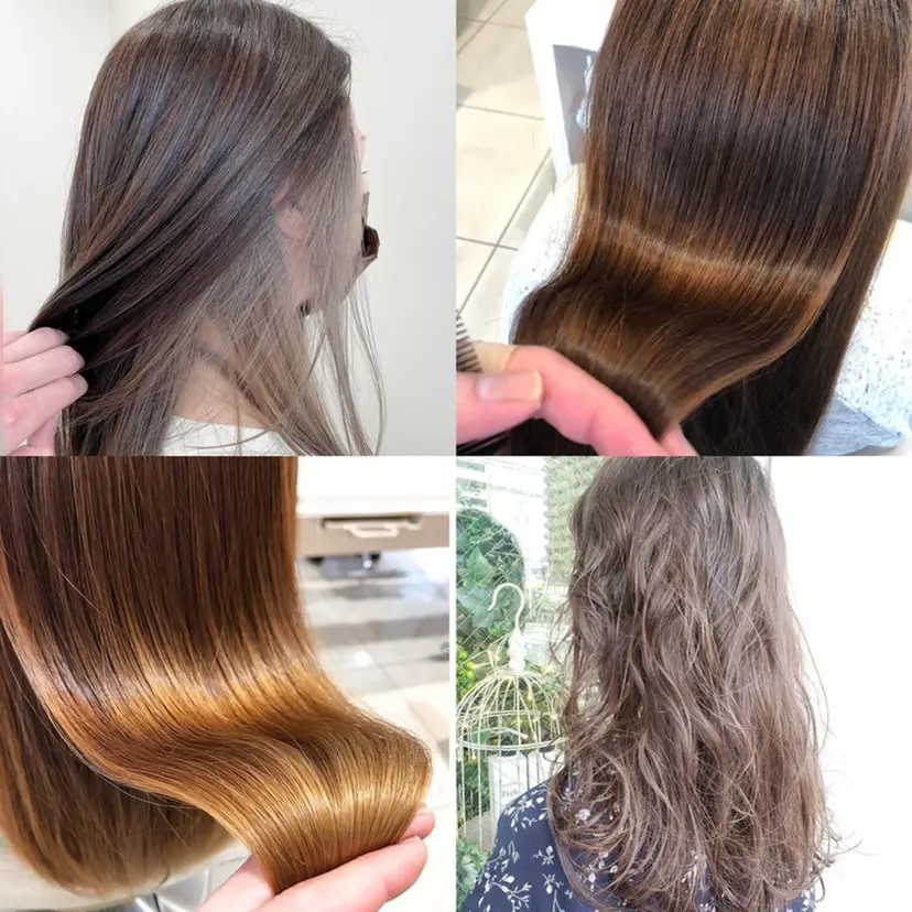 久枝 世愛の掲載