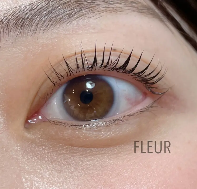 フルーレ 垂水の掲載