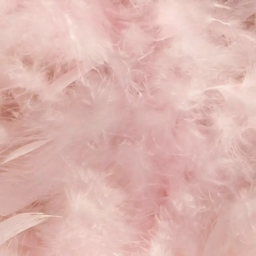 private EMILIA/横浜の掲載