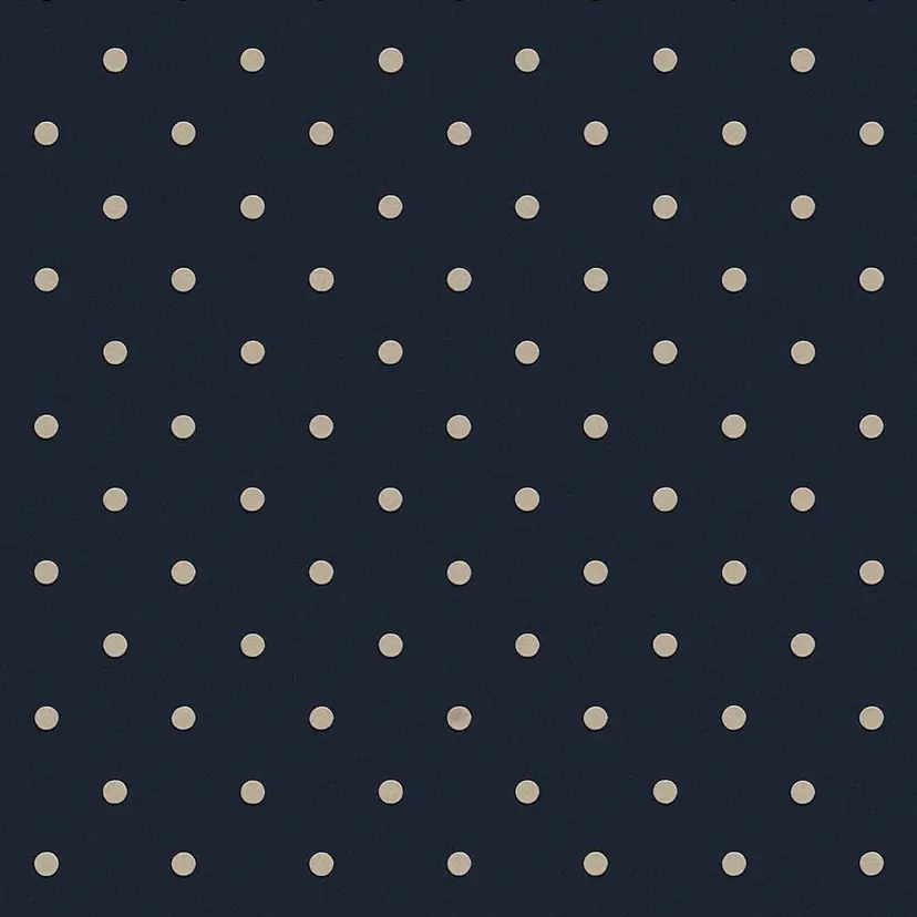 宮川 愛優未の掲載