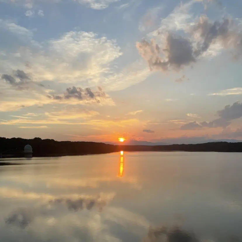横山 莉音の掲載