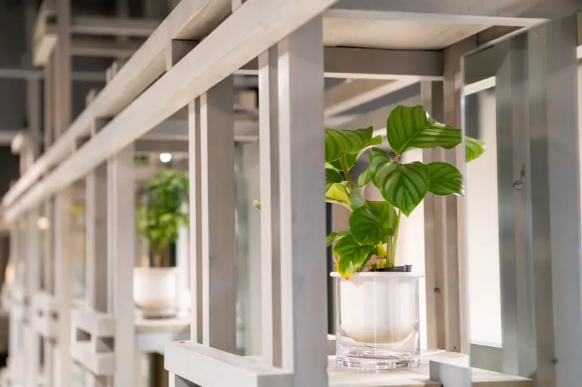 似合わせ/小顔/ 韓国✨KAITOの掲載