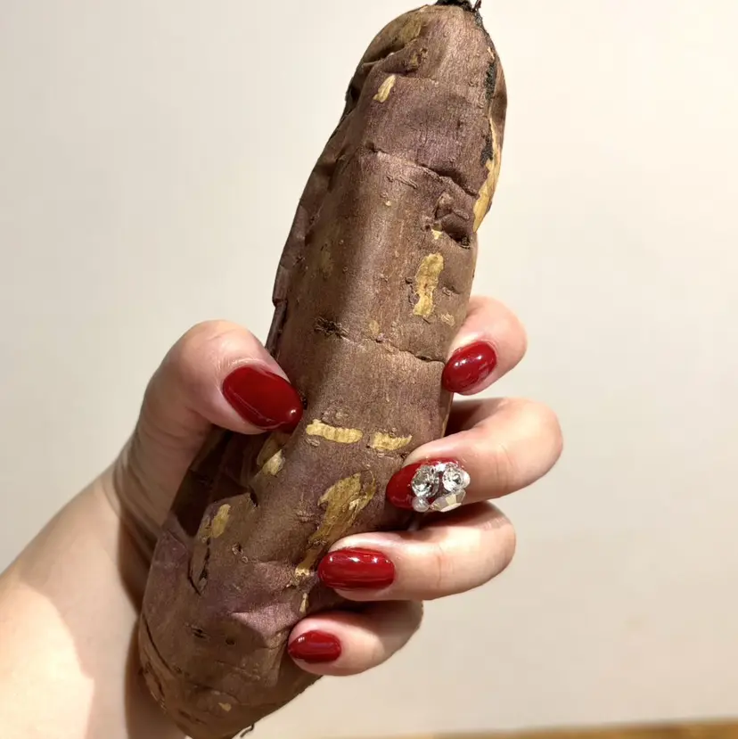 樽井 智恵子の掲載