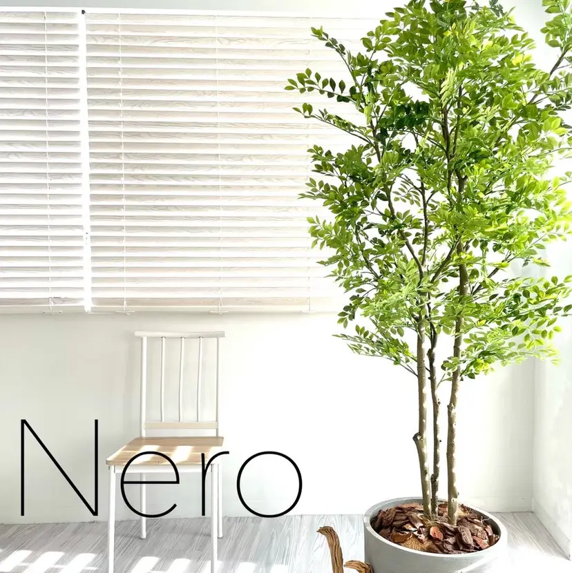 SHOEI 【nero】の掲載