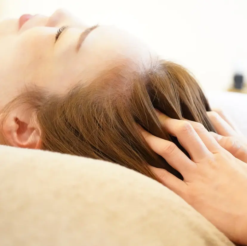 黒崎/ドライヘッド Kaminの掲載