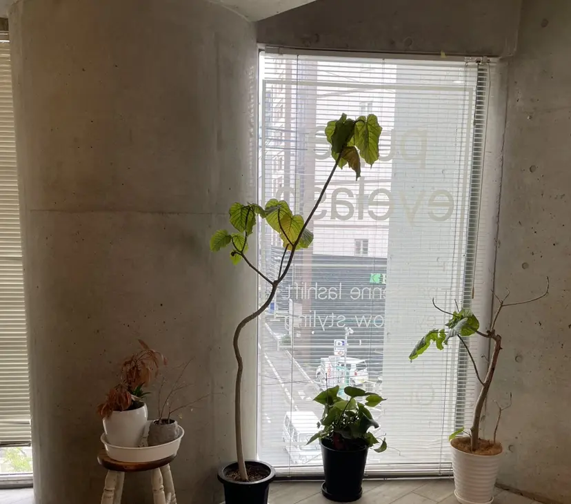 為田 希美の掲載