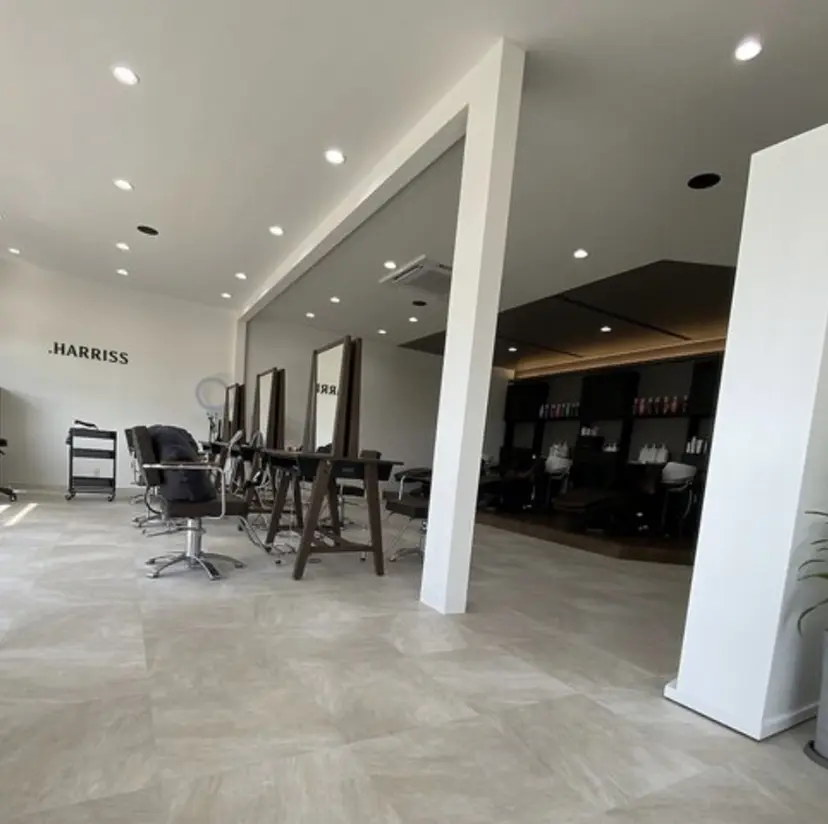 中司 愛理の掲載