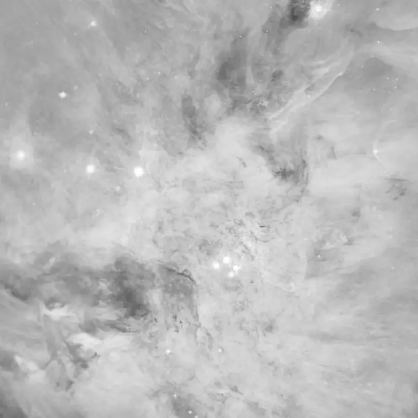 rier 林田の掲載