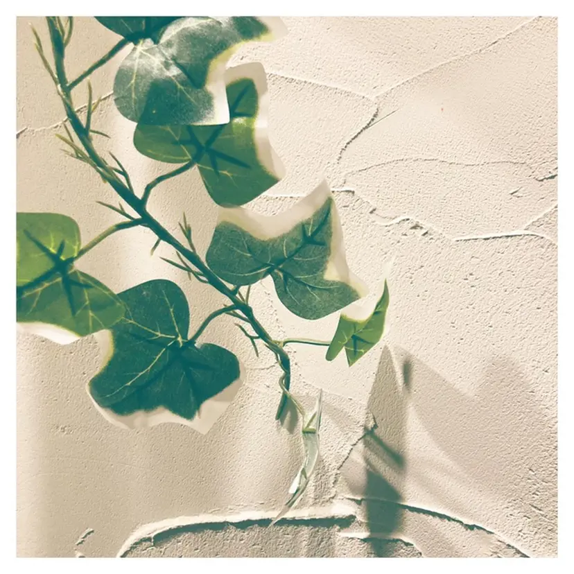 しばた ゆらの掲載