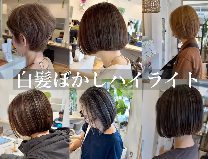 白髪ぼかしハイライト 💫ミネ　ヒロシの掲載