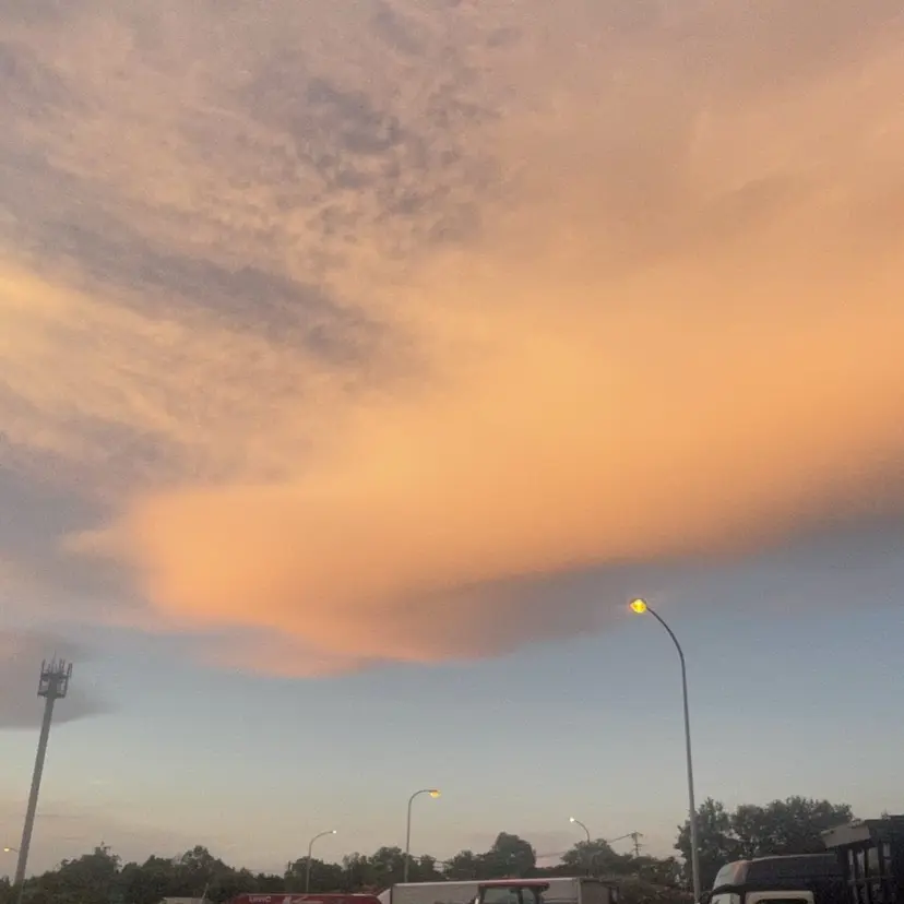 Ｆ.まひろ🎀 暖色カラー／ベージュの掲載