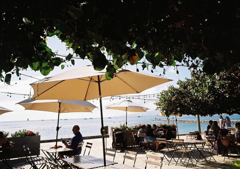 tamogami Miyu✨の掲載