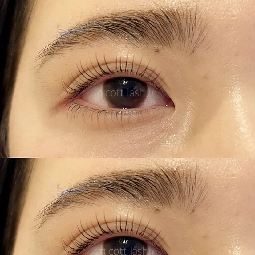 sarah 反葉の掲載