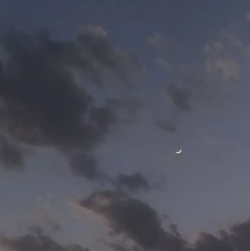 🦋MaaZ lash2🦋の掲載