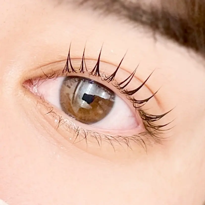 ミアン 宮田の掲載