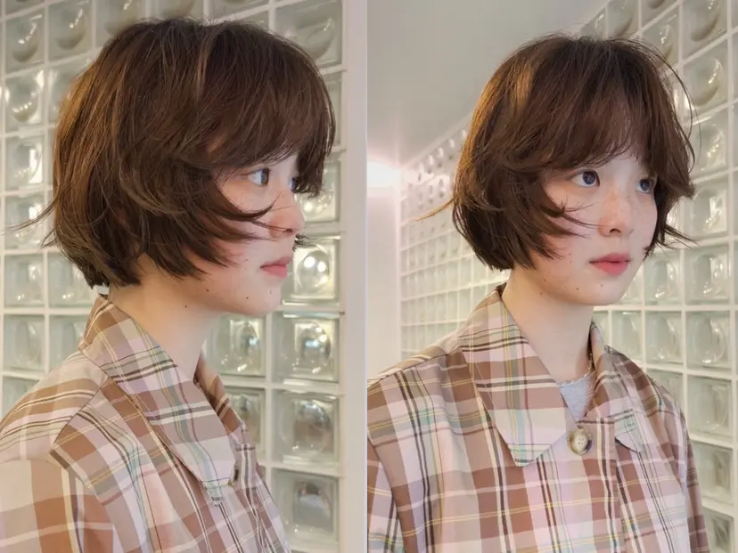 FILMS 綾菜の掲載