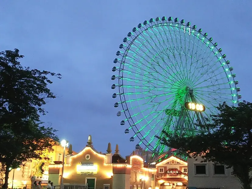 若山 佳代の掲載
