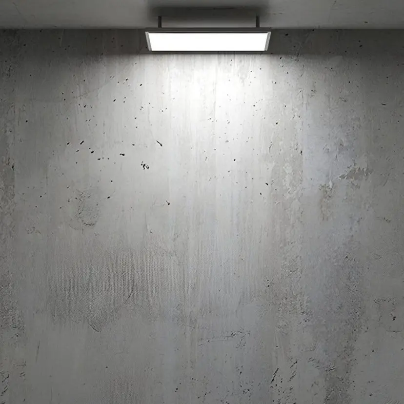 HYMY 【ヒーミー】の掲載